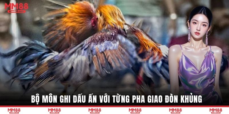 Bộ môn ghi dấu ấn với từng pha giao đòn khủng