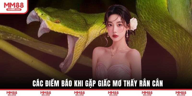 Các điềm báo khi gặp giấc mơ thấy rắn cắn