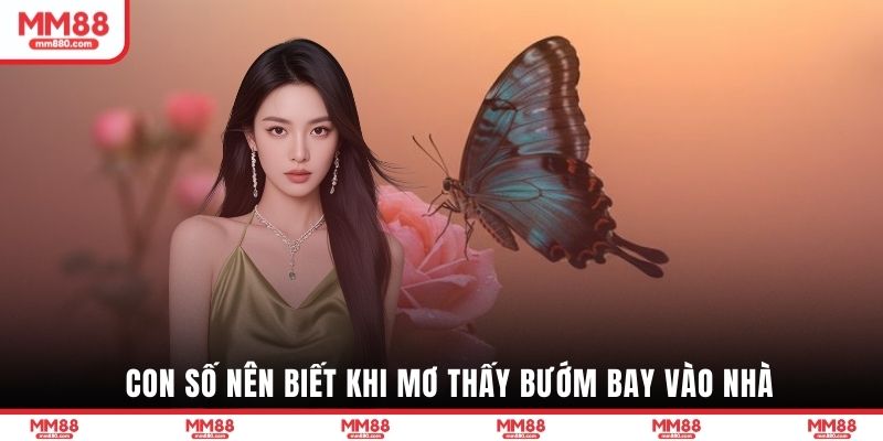 Con số nên biết khi mơ thấy bướm bay vào nhà