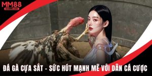Đá gà cựa sắt sức hút mạnh mẽ với dân cá cược 2025