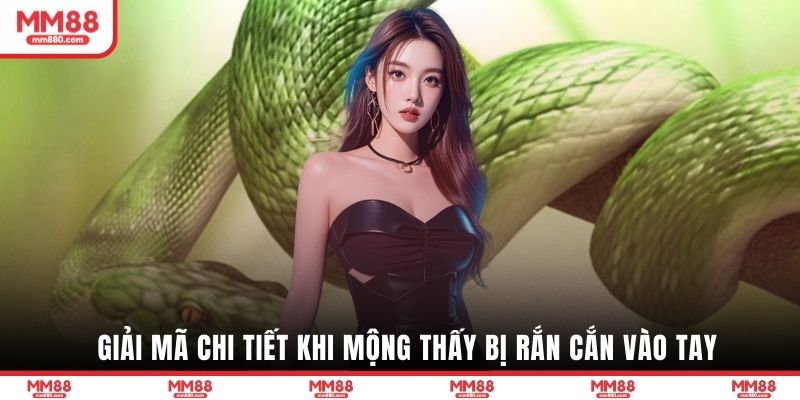 Giải mã chi tiết khi mộng thấy bị rắn cắn vào tay