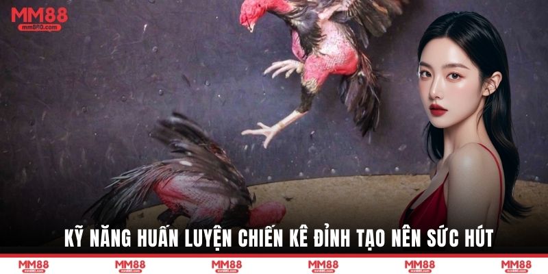 Kỹ năng huấn luyện chiến kê đỉnh tạo nên sức hút