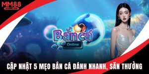 Cập nhật 5 mẹo đánh cá thắng nhanh săn thưởng cực lớn