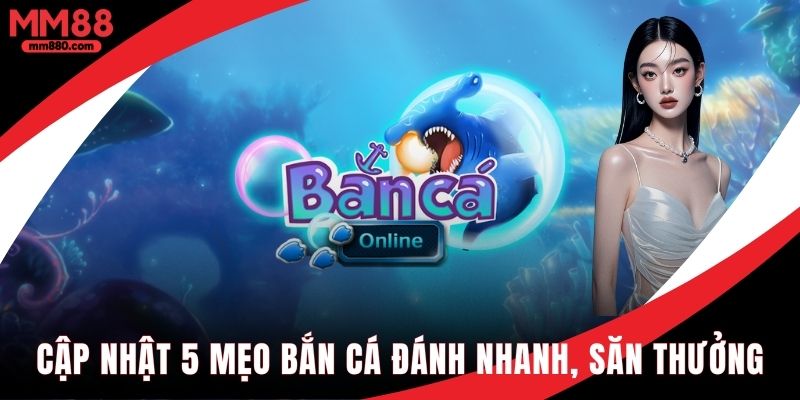 Cập nhật 5 mẹo đánh cá thắng nhanh săn thưởng cực lớn
