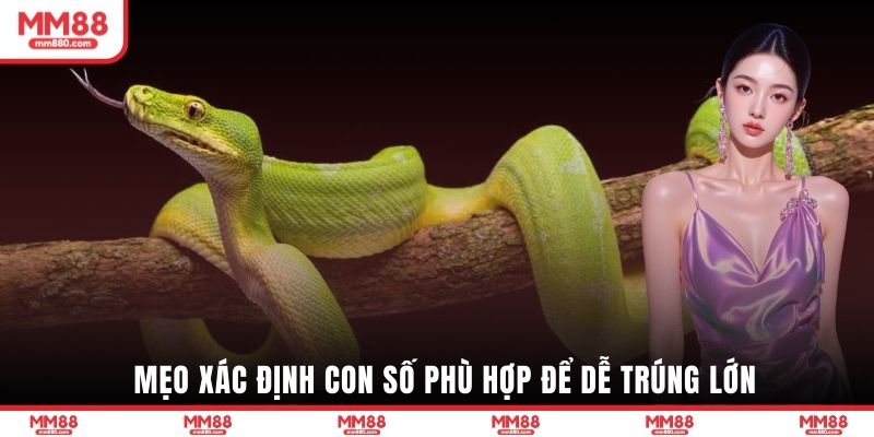 Mẹo xác định con số phù hợp để dễ trúng lớn