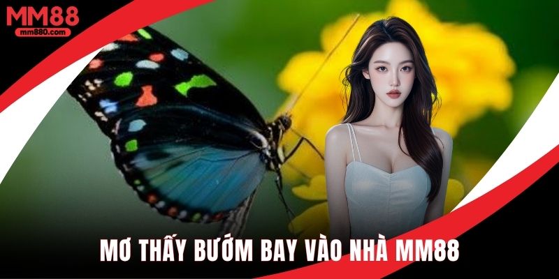 Mơ thấy bướm bay vào nhà đánh con gì nhanh ra nhất