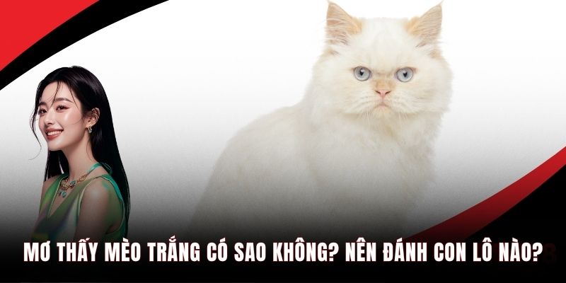 Mơ thấy mèo trắng có sao không? Nên đánh con lô nào?