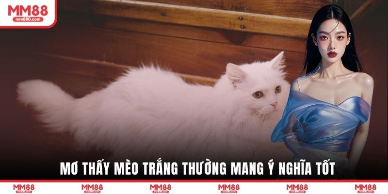 Mơ mua mèo trắng là điềm báo hạnh phúc