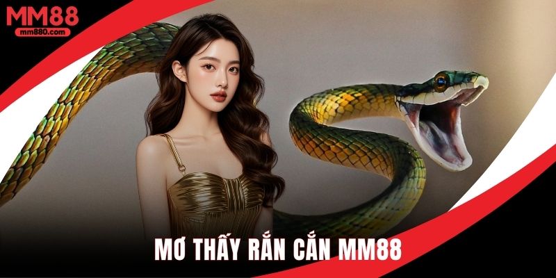 Mơ thấy rắn cắn giải mã điềm báo đặt cược số tại MM88