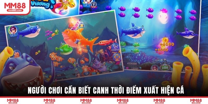 Người chơi cần biết canh thời điểm xuất hiện cá