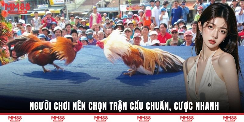 Người chơi nên chọn trận cầu chuẩn, cược nhanh