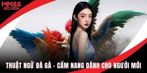 Thuật ngữ đá gà cẫm nang dành cho người mới bắt đầu