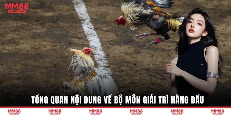 Tổng quan nội dung về bộ môn giải trí hàng đầu
